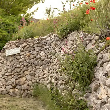 D'hotes Le Bellevue - Bed & Breakfast